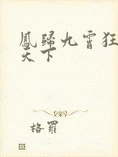 凤归九霄狂妃逆天下