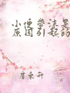小便带沫是什么原因引起的