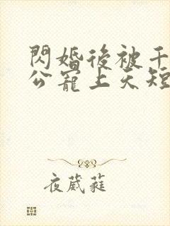 闪婚后被千亿老公宠上天短剧100集免费观看