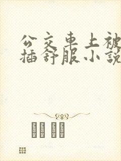公交车上被摸被插舒服小说