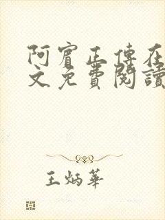 阿宾正传在线全文免费阅读无删减