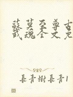 苏莫至尊古蓝夕武魂全文免费阅读