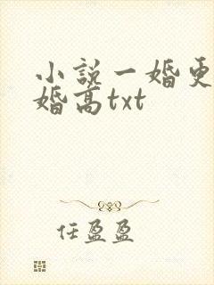 小说一婚更比一婚高txt