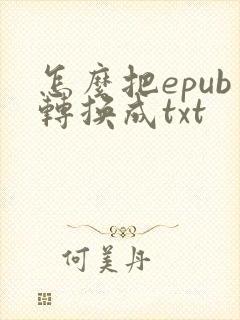 怎么把epub转换成txt