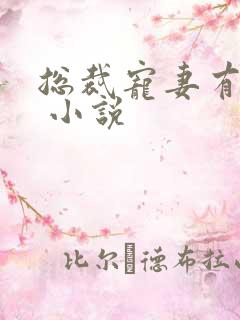 总裁宠妻有点甜 小说
