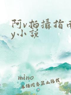 阿v拍摄指南by小说