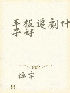 平板追剧什么牌子好