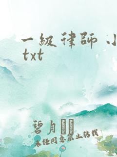 一级律师 小说 txt