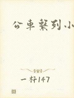 公车系列小说h