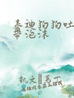 泰迪狗狗吐黄水带泡沫