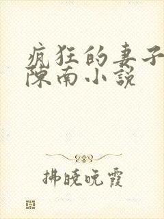 疯狂的妻子林瑶陈南小说