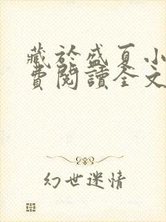 藏于盛夏小说免费阅读全文无弹窗