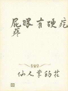 屁眼有硬疙瘩还疼
