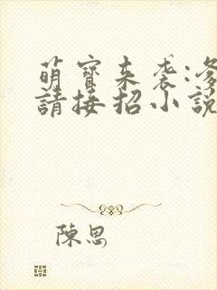 萌宝来袭:爹地请接招小说