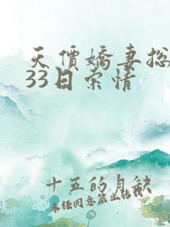 天价娇妻总裁的33日索情