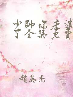 少帅你老婆又跑了全集免费观看