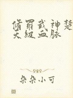 修罗武神楚枫的天级血脉