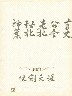 神秘老公有点坏叶北北全文免费阅读