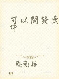 可以开发票的软件