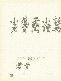 小疯子小说全文免费阅读无弹窗