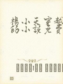 杨小天穿越武魂的小说免费阅读无弹窗