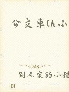 公交车(h小说