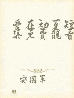 爱在初夏短剧全集免费观看
