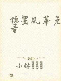 锦墨风华免费观看