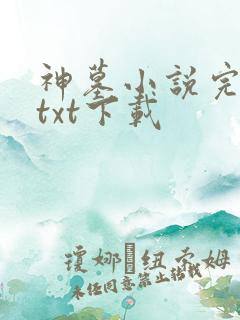神墓小说完结版txt下载