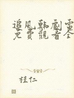 追风韩剧电视剧免费观看全集高清