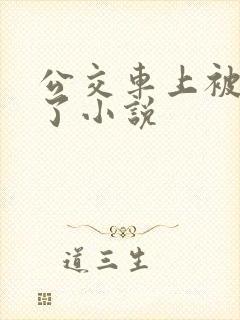 公交车上被乱操了小说