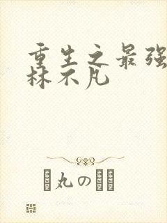 重生之最强人生林不凡