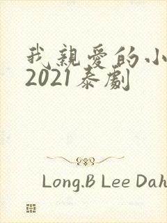 我亲爱的小冤家2021泰剧