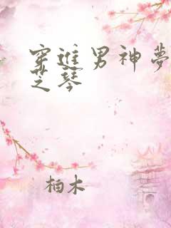 穿进男神梦里叶芝琴