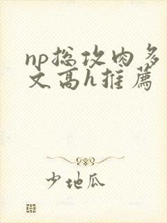 np总攻肉多荤文高h推荐