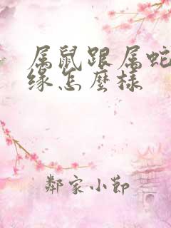 属鼠跟属蛇的姻缘怎么样