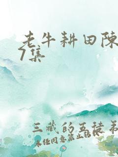 老牛耕田陈雪17集