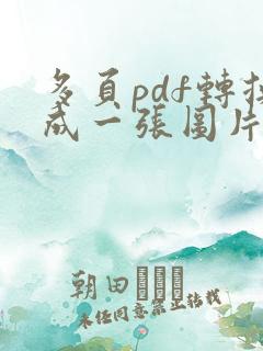 多页pdf转换成一张图片