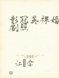 彭冠英裸婚时代剧照