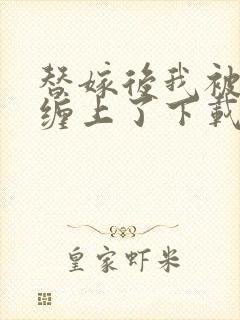 替嫁后我被大佬缠上了下载txt全集