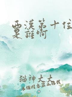 西汉第十位帝王是谁啊