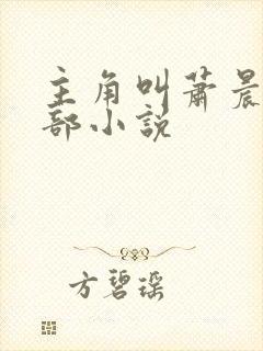 主角叫萧晨的全部小说