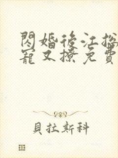 闪婚后江总他又宠又撩免费完整版
