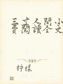 三寸人间小说免费阅读全文无删减