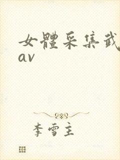 女体采集武藤兰av