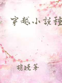 穿越小说种田文