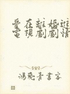 爱在离婚进行时电视剧剧情介绍