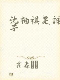 沈柏祺是谁的儿子