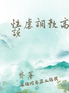 性虐调教高潮小说