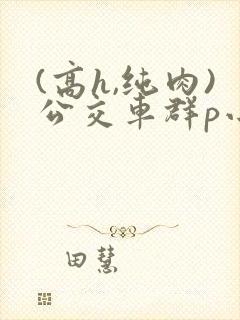 (高h,纯肉)公交车群p小说